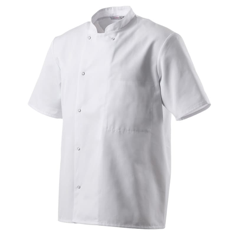 Veste de Cuisine Unisexe Inox Manches Courtes Robur
