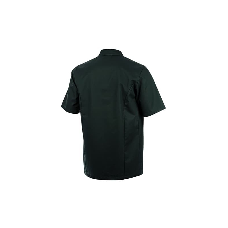 Veste de Cuisine Homme Turnip Lafont