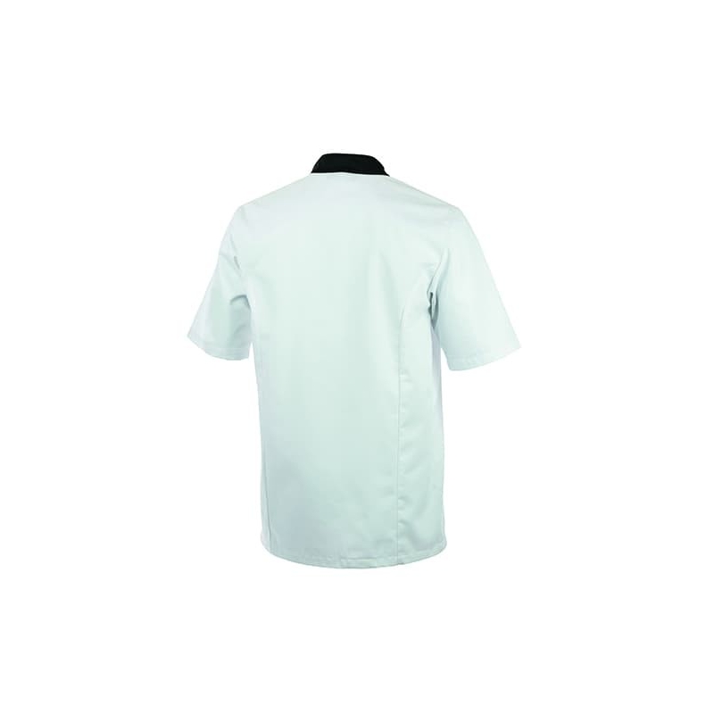 Veste de Cuisine Homme Turnip Lafont